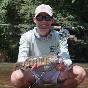 Meet your Posher, Finn